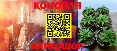ALPHA PVP Комсомольск-на-Амуре