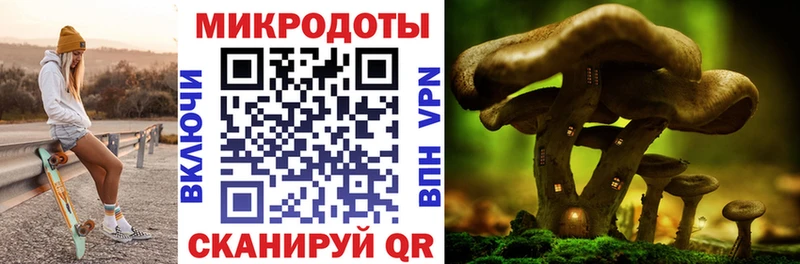 ссылка на мегу ONION  Заволжье  Галлюциногенные грибы Magic Shrooms  продажа наркотиков 