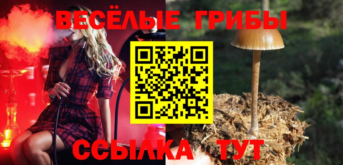 Заволжье  Псилоцибиновые грибы мицелий  Псилоцибиновые грибы Magic Shrooms  Вход с VPN 