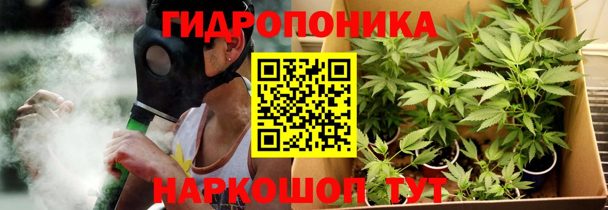 Каннабис AK-47 Заволжье